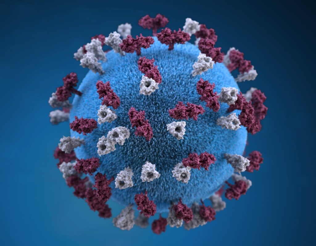 Corona Virus