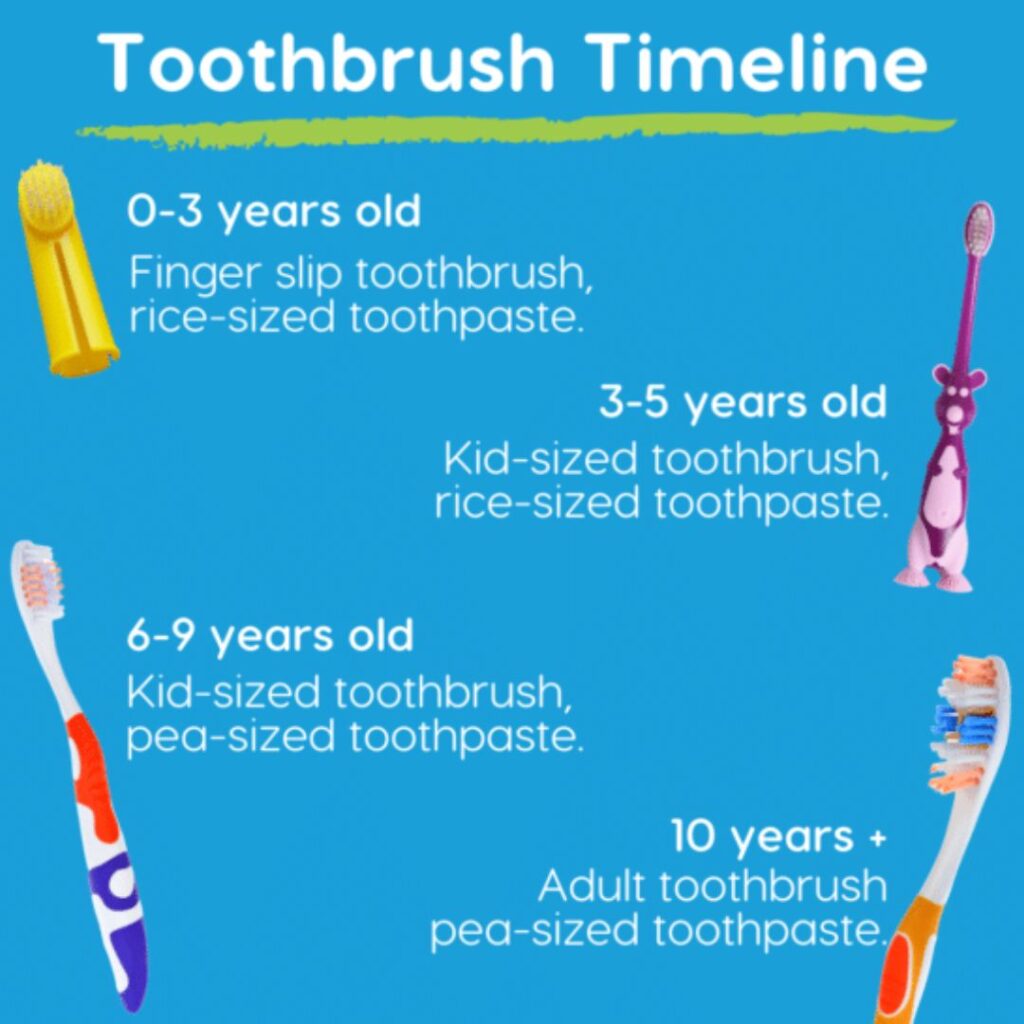 Toothbrush timeline